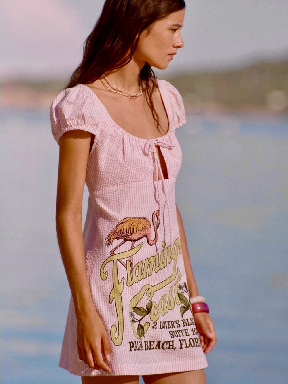 NWT Anthropologie Celandine Pink Graphic Mini Dress with Flamingo Print